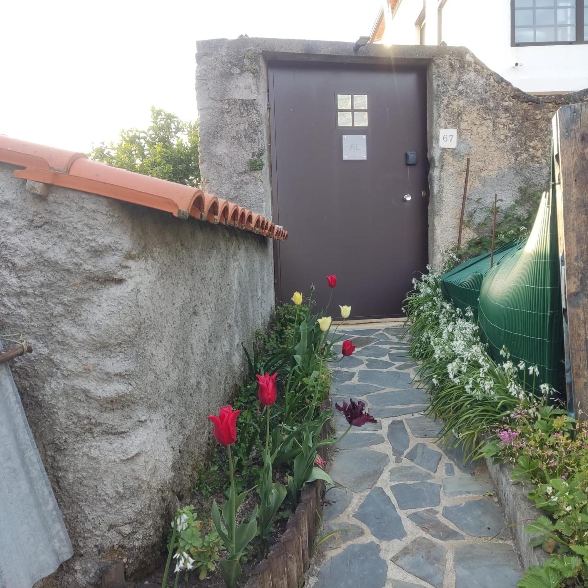 Casinha Da Sobreira Villa Penacova Exterior photo